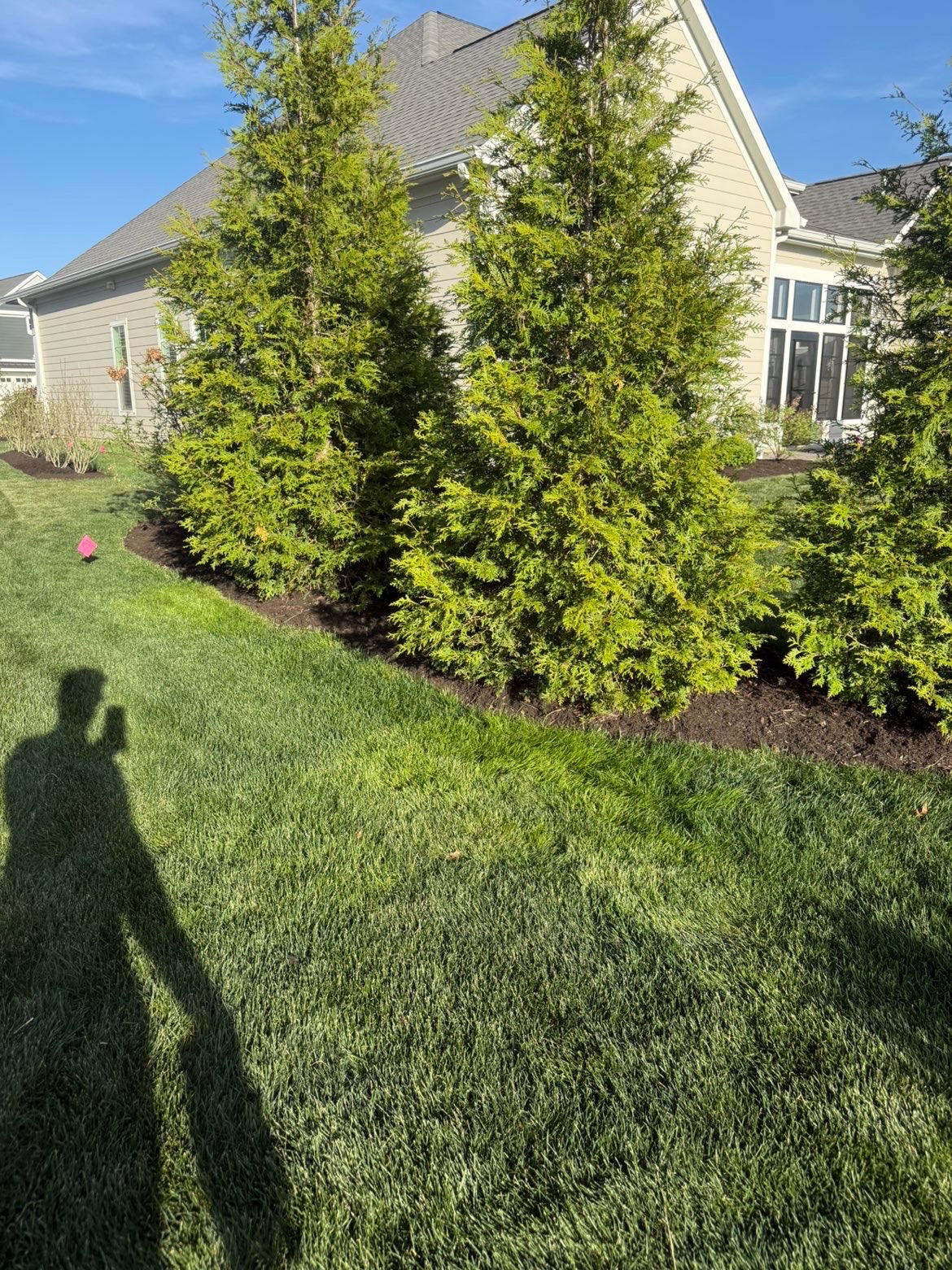 Striped lawn beside stone path